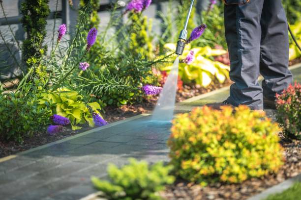 Best Patio and Deck Pressure Washing  in San Clemente, CA